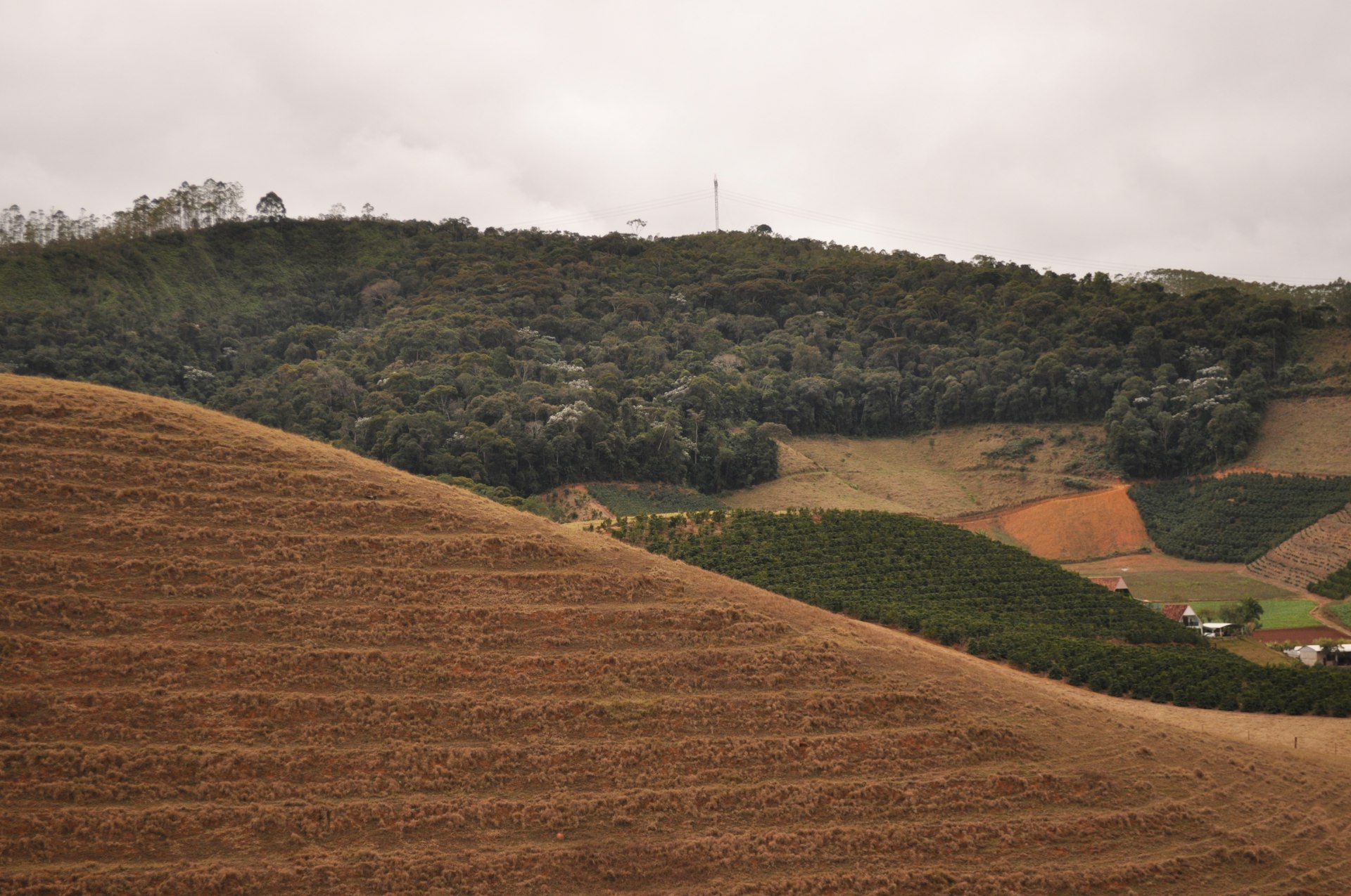 a hill that has some trees on top of it